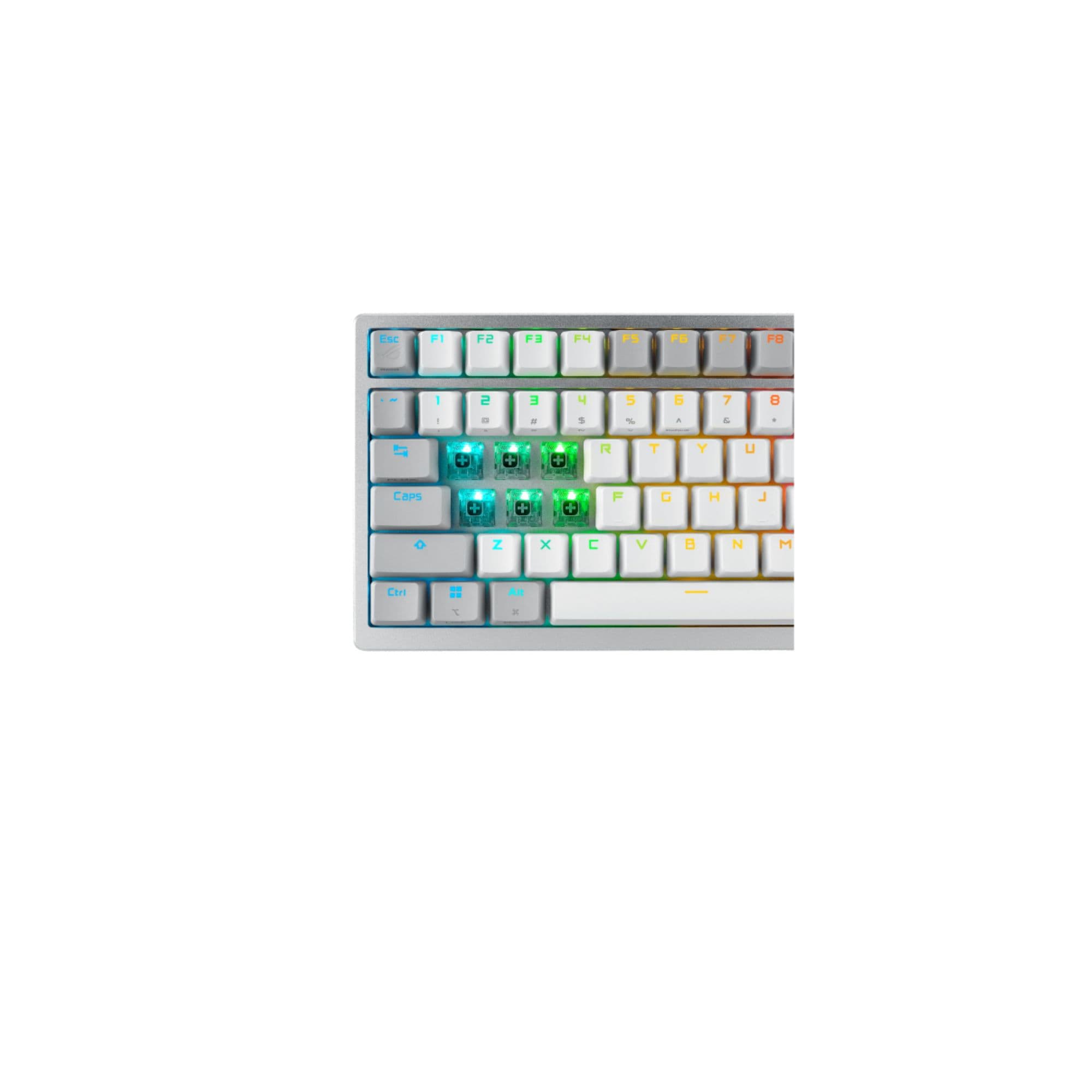 Miniatura del producto 6